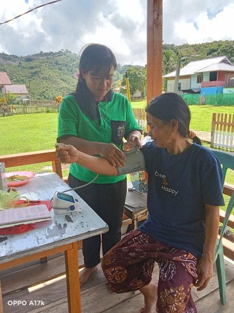 kegiatan posyandu